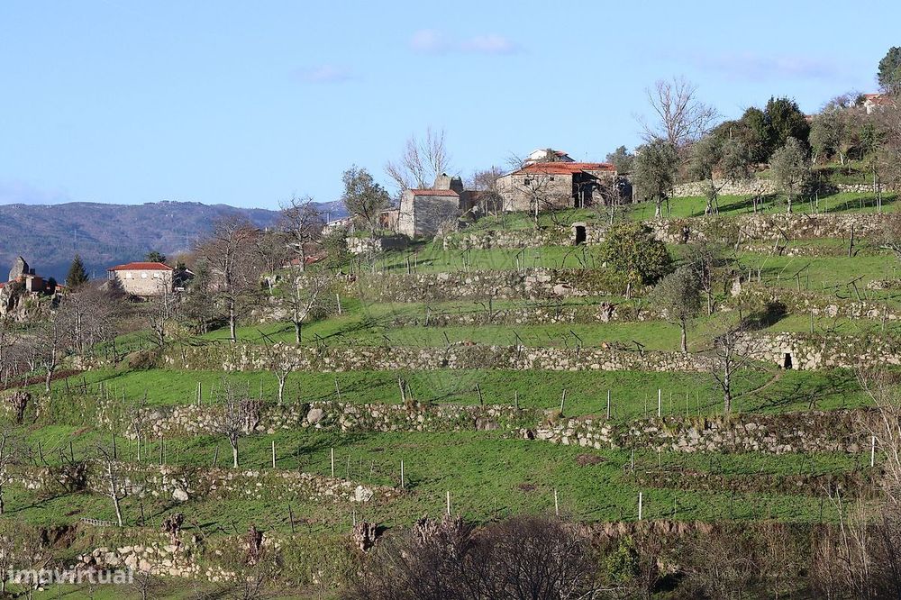Terreno  para venda
