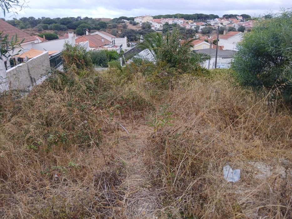 Limpeza de terrenos e manutenção jardins
