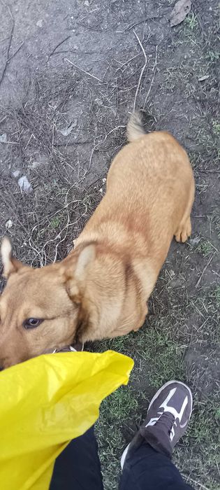 Хлопчик пів року, маленький