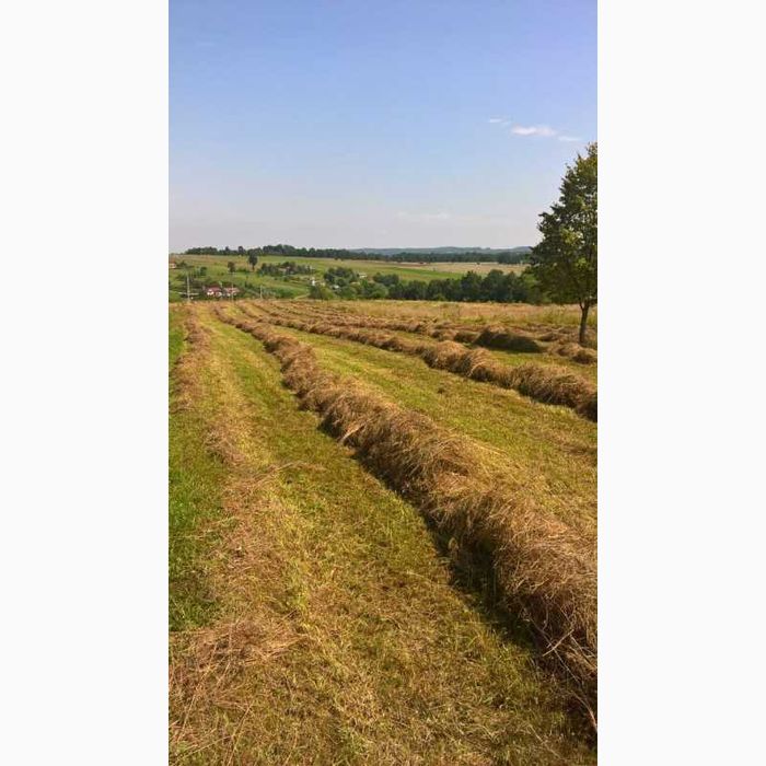 Продам сіно лугове, вагове