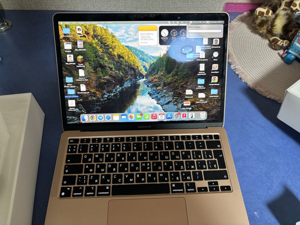 MacBook M1 256gb