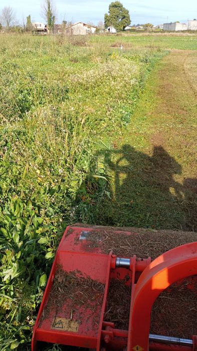 Limpezas agrícolas e florestais