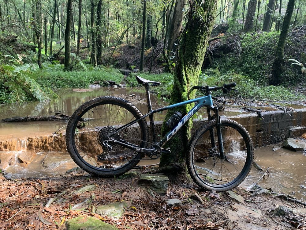 Coluer Poison SL 3.8 Carbono