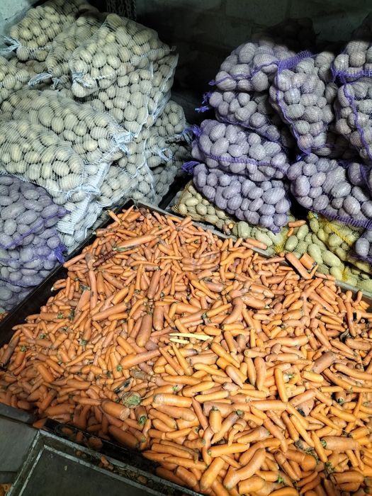 Marchew odpadowa. Buraki czerwone odpadowe Cebula