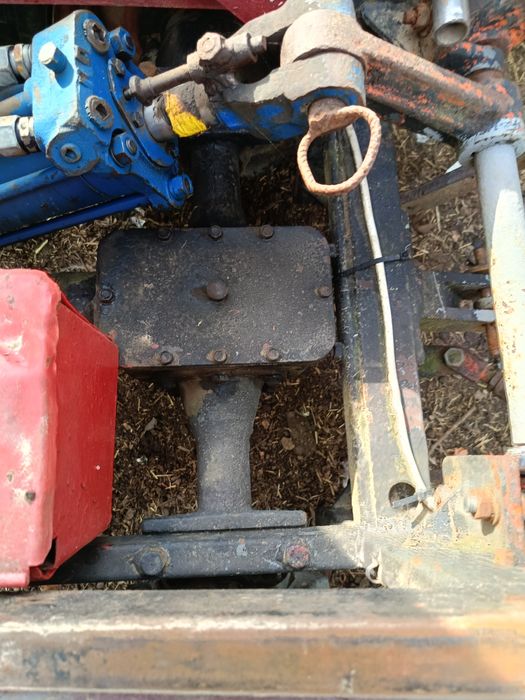 Продається Прикарпатець.