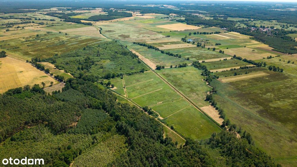 Rozległy kompleks rolny z potencjałem – Tuchola Żarska 52,1 ha