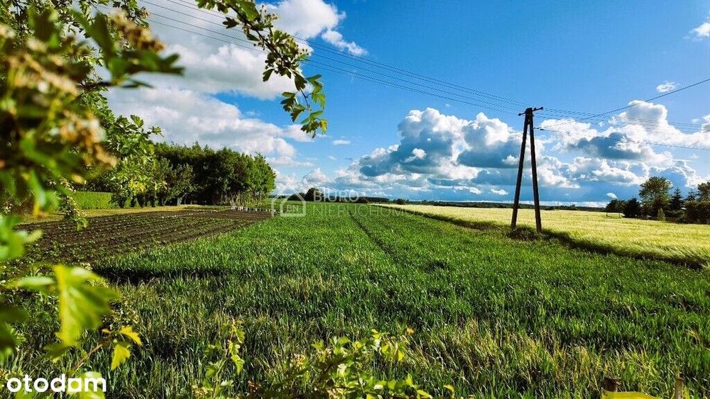 Działka budowlana Czernina Dolna 1500 m2