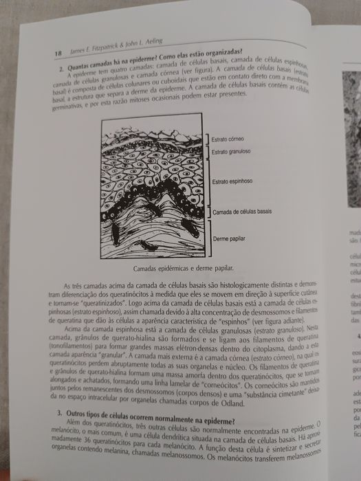 Livro "Segredos em Dermatologia"