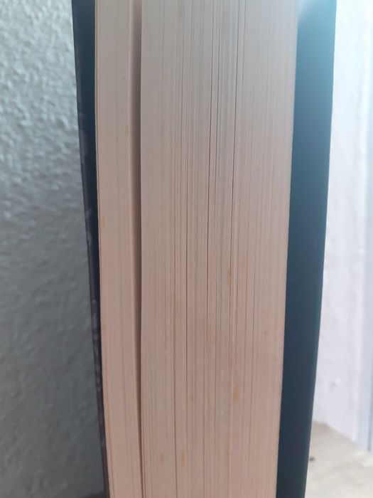 Livro a Cor da  Memória