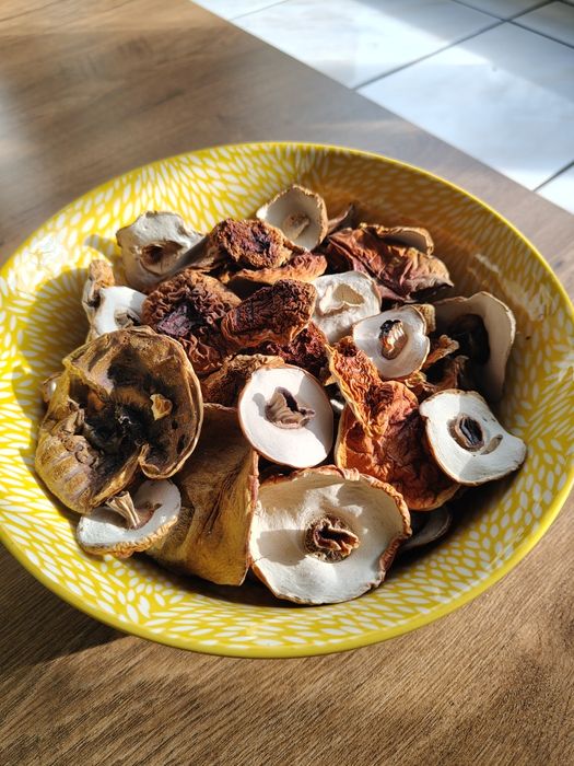 Sprzedam grzyby suszone