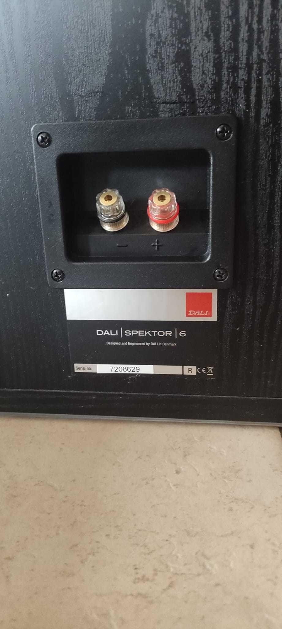 Kolumny Dali Spektor 6