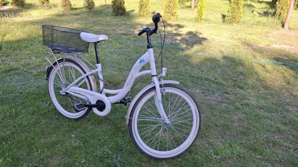 Rower vittoria 24