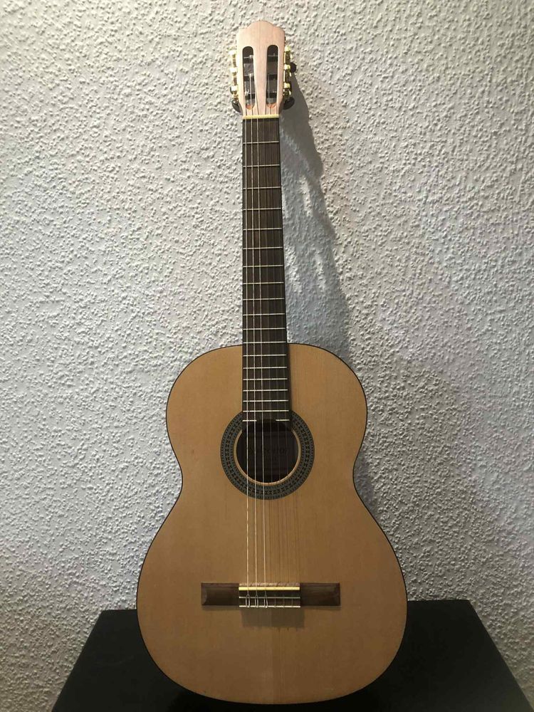 Gitara Salvador cs-244