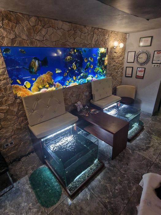 Zakładanie/serwis akwarystyczny