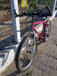 Bicicleta BIANCHI roda 24