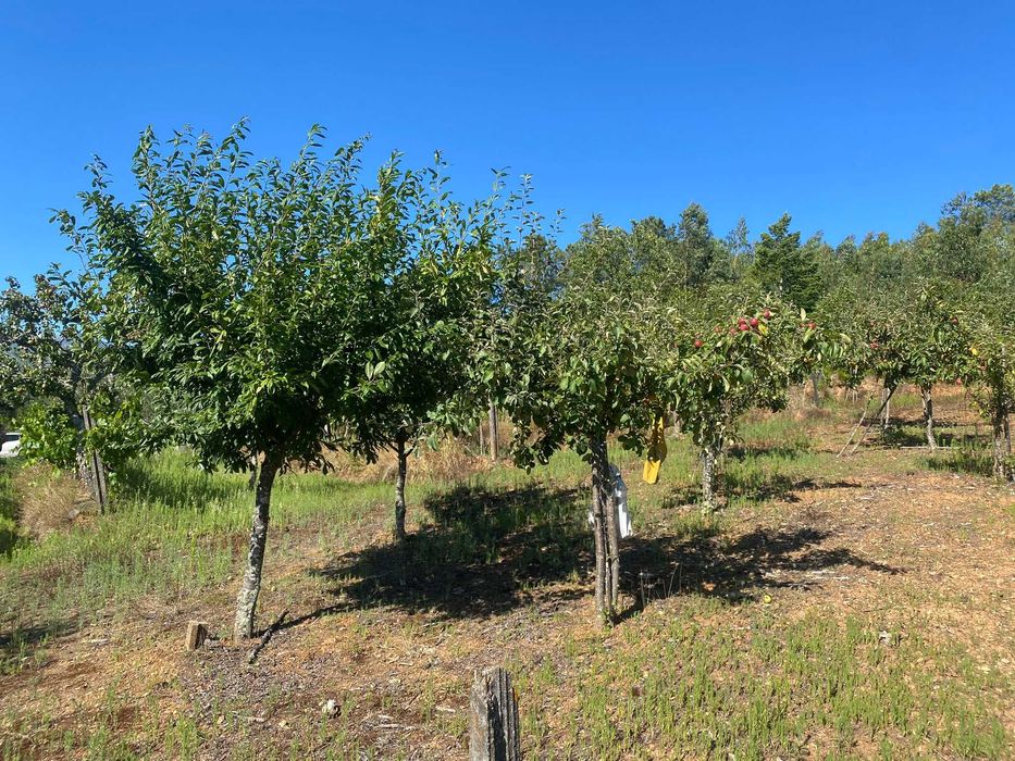Terreno na Vila do Paul próximo das praias fluvias