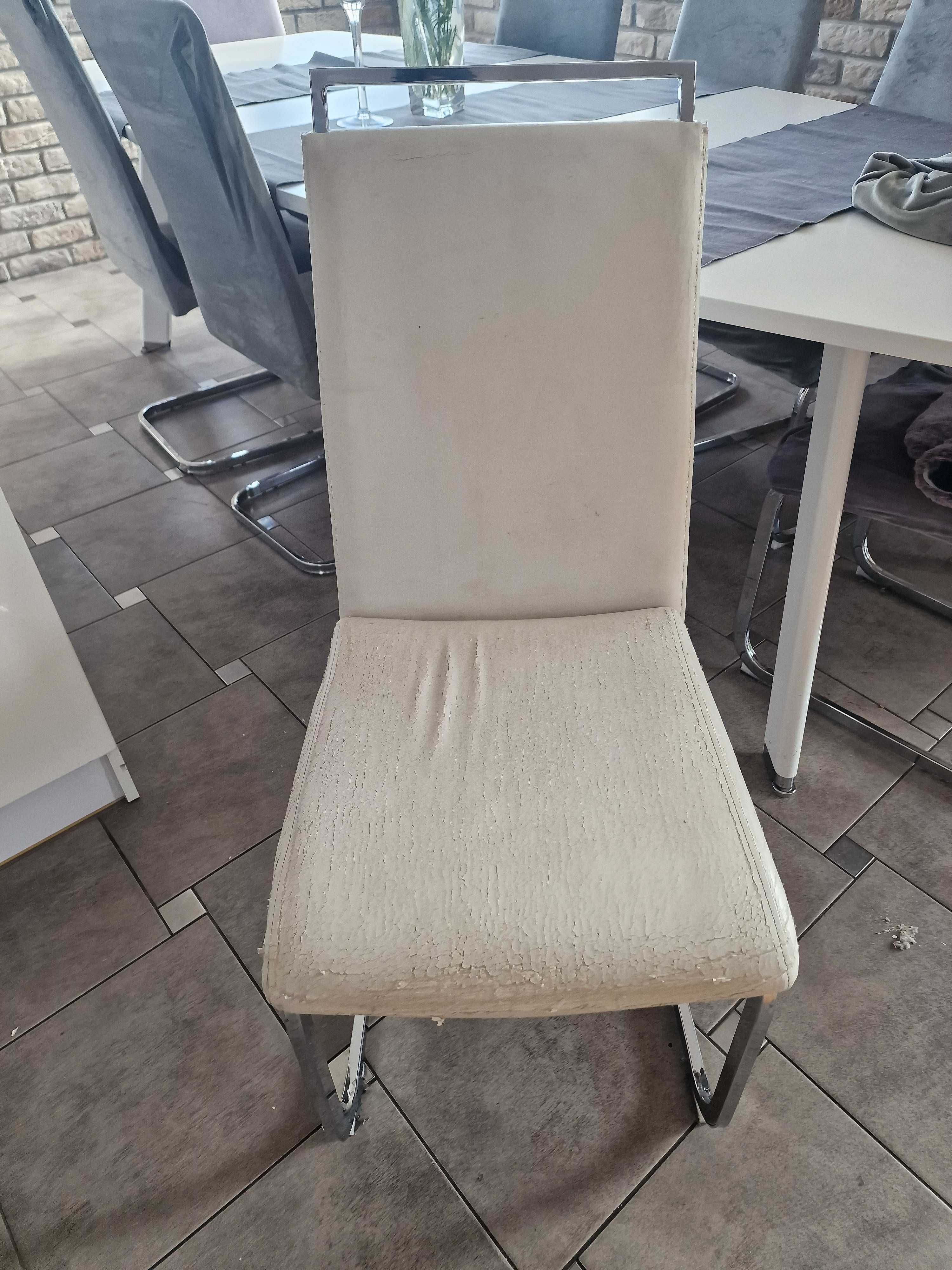 Stół 240 + 8 krzeseł