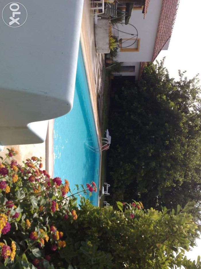 Casa de Alpiarça -casa com piscina