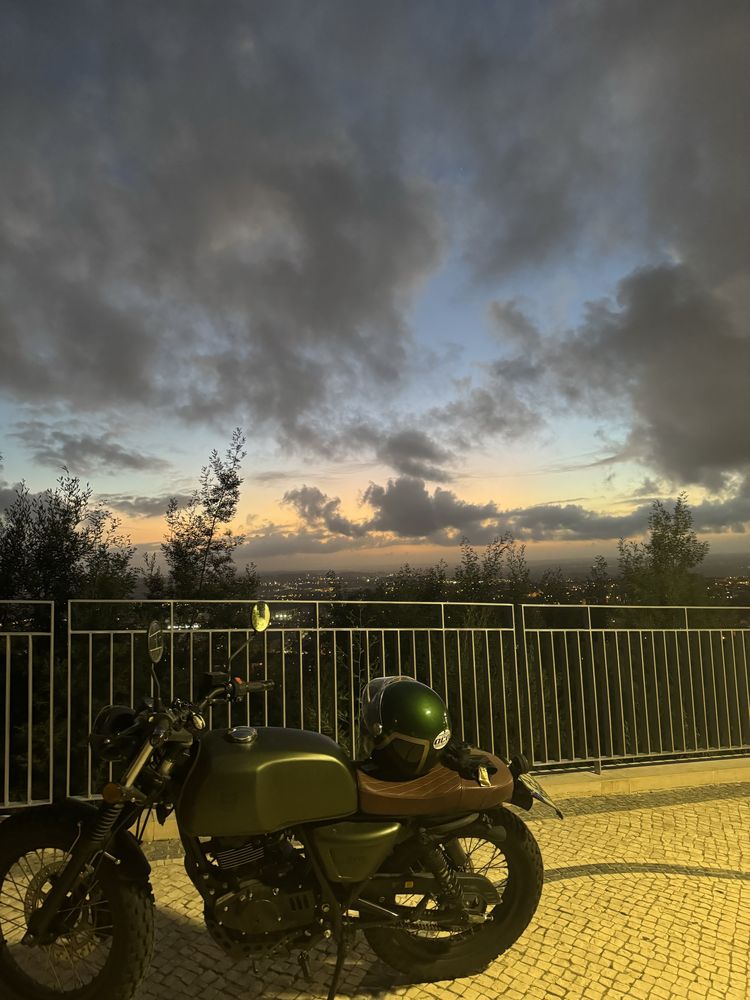 MUTT Akita Green 125