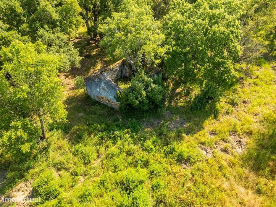 Terreno Misto 4.3 ha, Santa Cruz, Santiago do Cacem