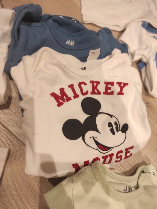 Body z długim rękawem i krótkim rękawem