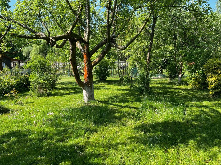 Urokliwy ogródek działkowy ROD przy Zakrzowku
