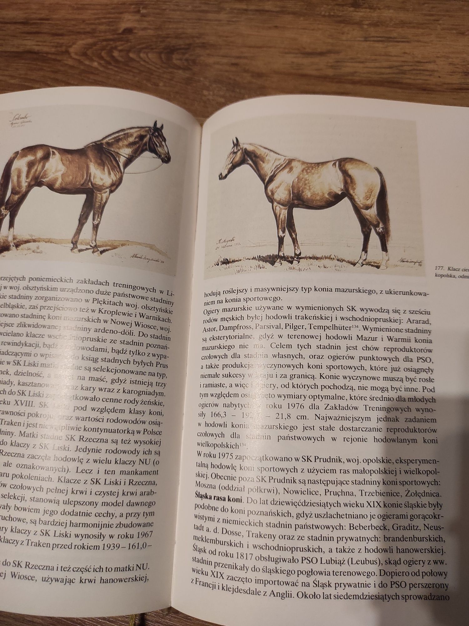 Hipologia dla wszystkich