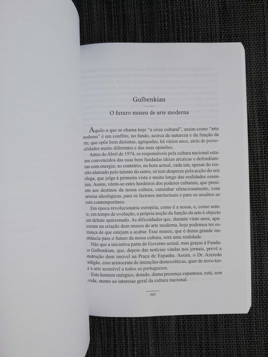 A Paixão da Arte - Ruy Amado (portes grátis)