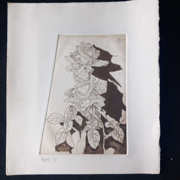 Gravura original em " talha doce " P/A