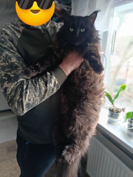 Мэйн-кун     в'язка