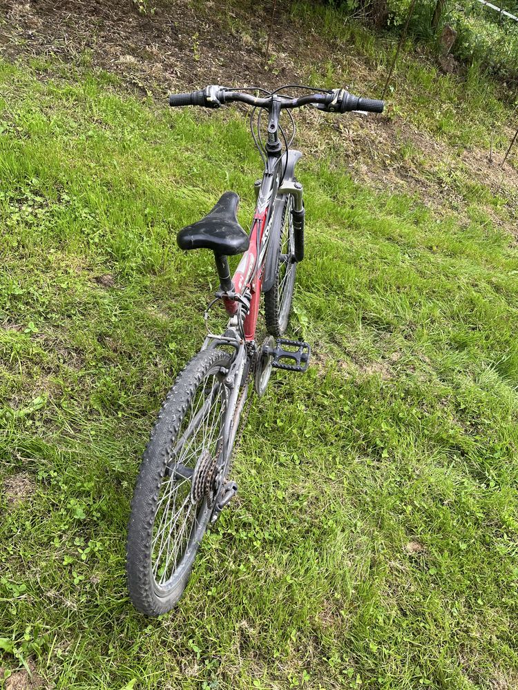 Rower mbike 24 cale
