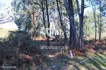 Vende-se terreno em zona de construção.