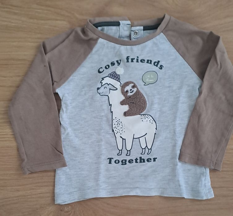 Lote t-shirts + Casaco 9-12 meses