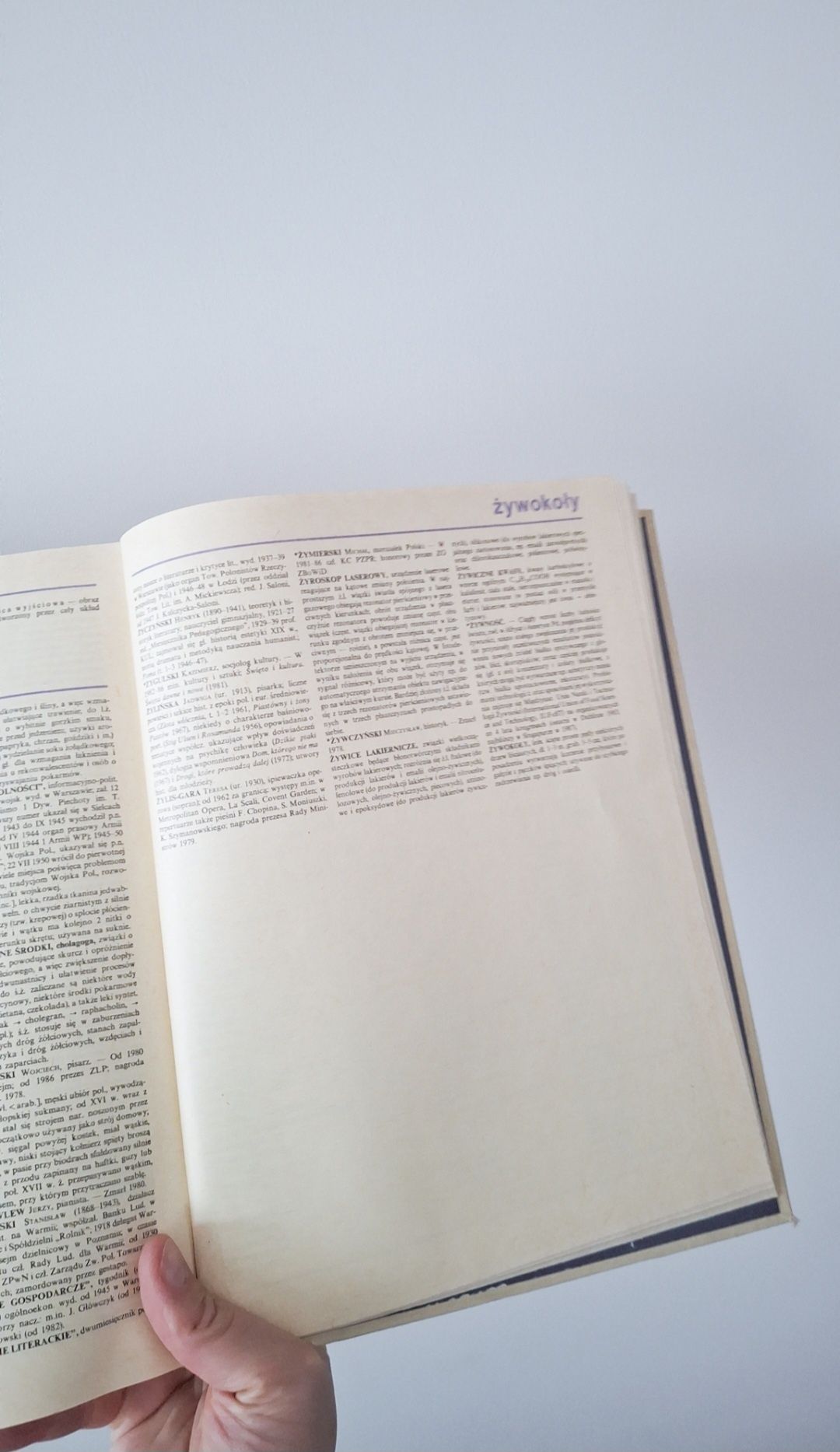 Encyklopedia Powszechna PWN jeden tom od A do Z twarda okładka