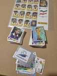 Cromos Panini 1998 França