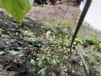 Terreno para Moradia em Balazar 300m2, Póvoa de Varzim