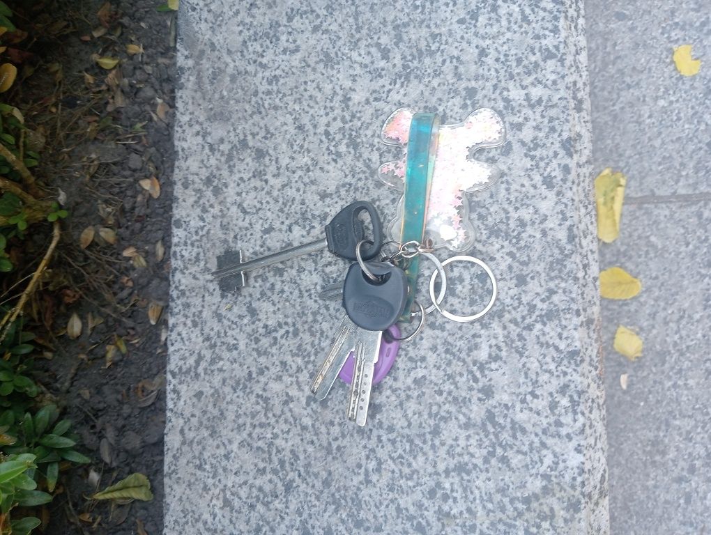 Найдены ключи в центре Ирпеня