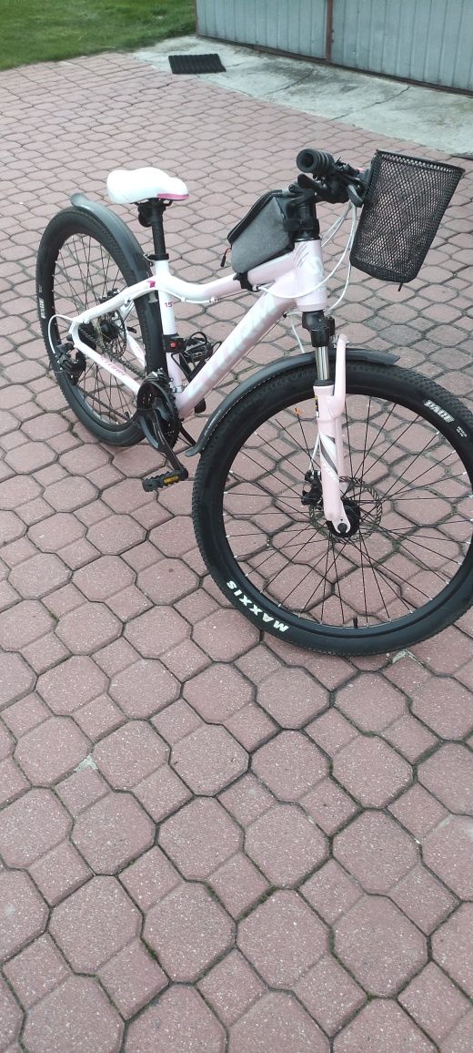 Rower Storm rama 15