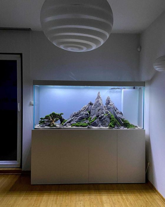 Zaprojektuj z nami swój wymarzony zestaw akwarystyczny – PRODUCENT