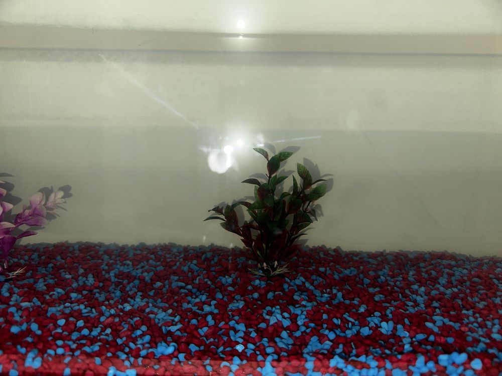 Acessorios de aquario