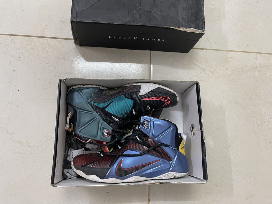 Nike Lebron 12 SE What The
