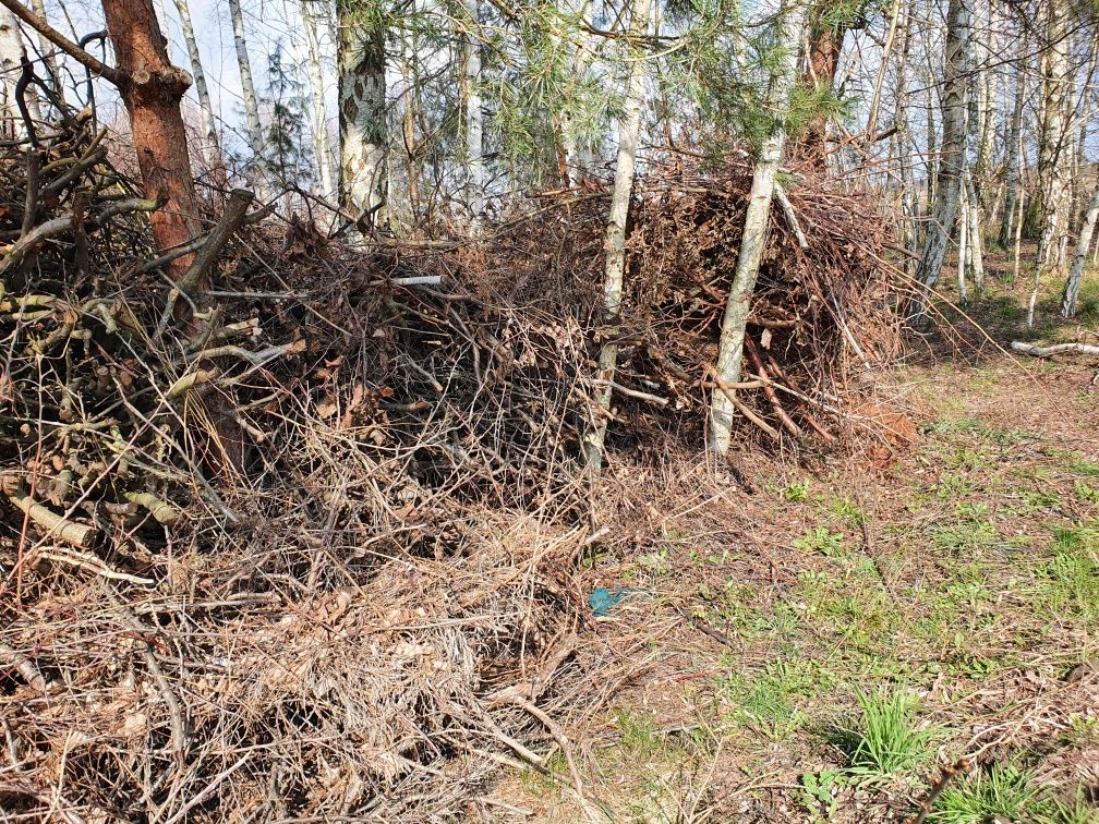 Oddam za darmo materiał na zrębki/biomasę.