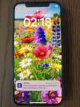 Apple iPhone 12 / 256 GB blue