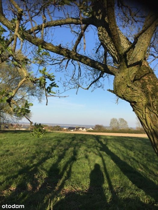 Bez Pośredników_Dzialki Budowlane/Developerskie