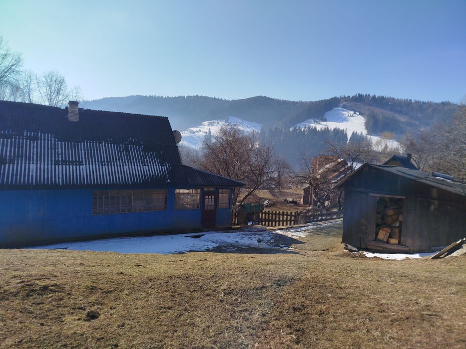 Будинок, земля, господарство в Карпатах, струмок, гори, краєвиди