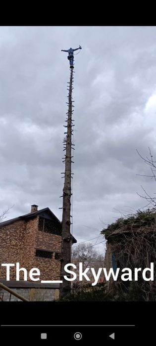 Спилить дерево без вышки. Арборист, г.Днепр.