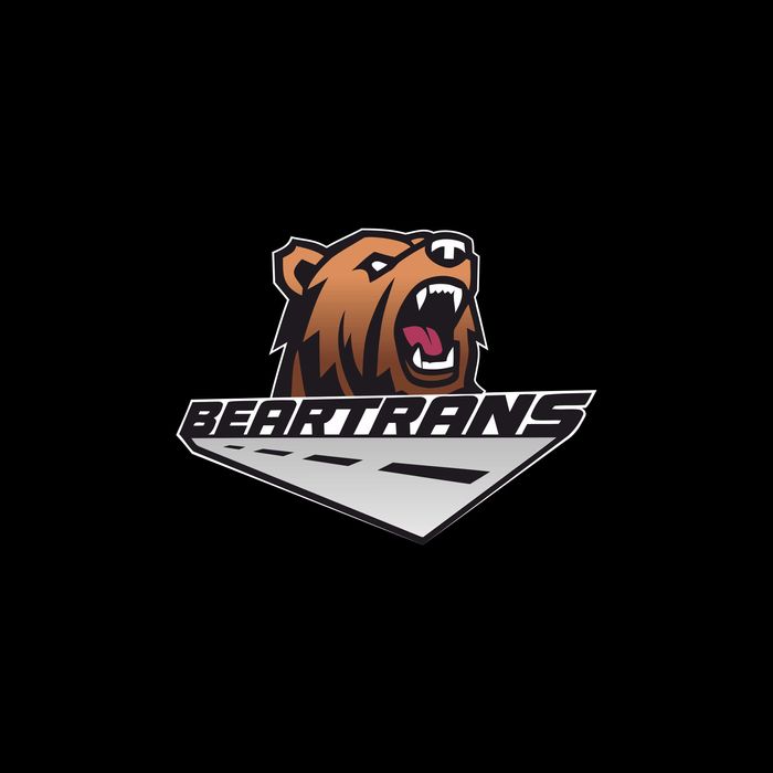 Laweta Transport Autoholowanie Pomoc Drogowa BUSY Cała Europa