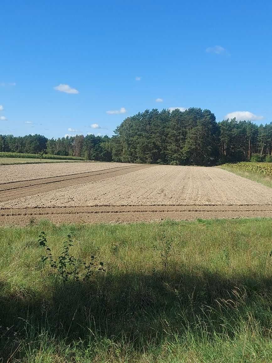 Działka rolno-leśna o pow. 2,15 ha