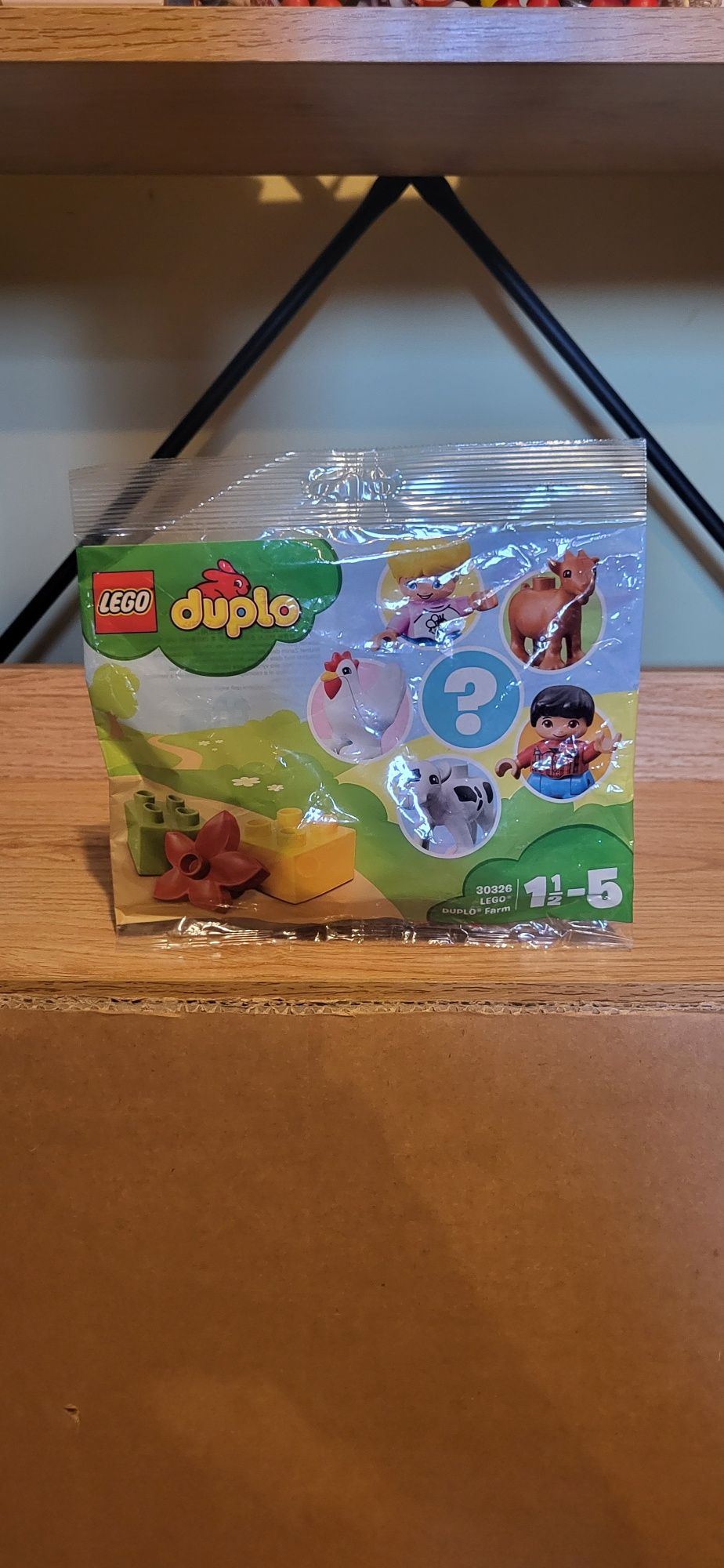 Lego Duplo 30326 Farma saszetka z klockami