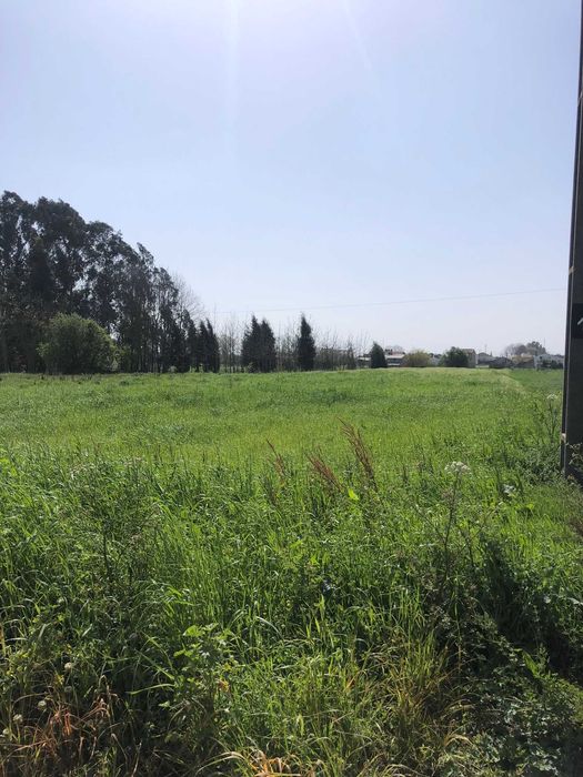 Terreno urbanizável